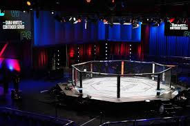 UFC : Découvrez tous les grands combattants sortis des Dana White's Contender Series ! 