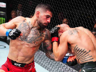 Tous les combattants classés à l'UFC et invaincus en carrière !